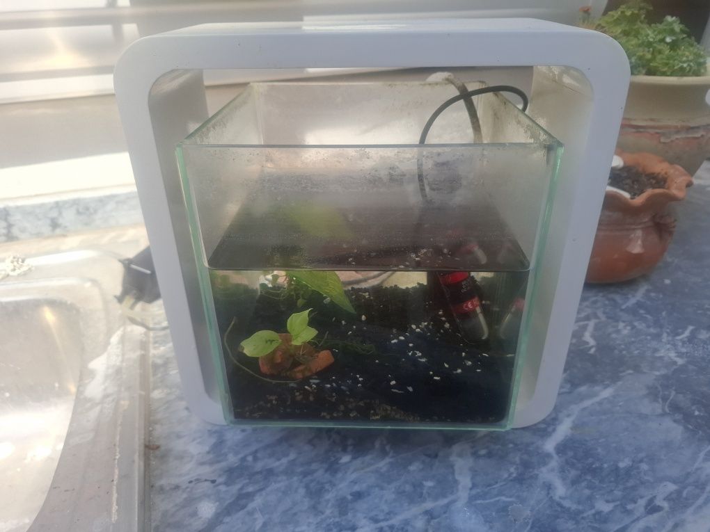 Aquario cubo branco