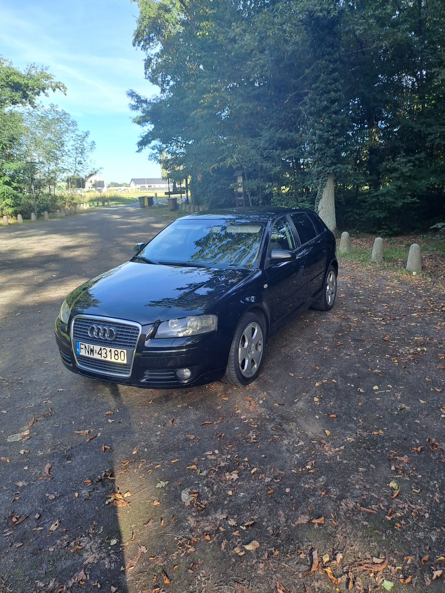 Sprzedam Audi a3.8p.1.9tdi.105km.2005r klimatronik aktualne
