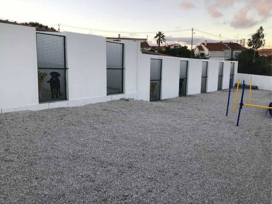 Hotel Canino Mira Serra
