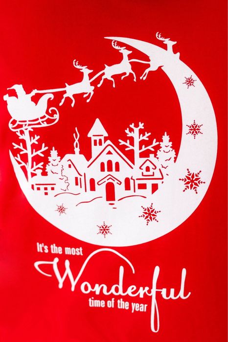 Новорічна  піжама, піжама фемелі лук, піжами Family look