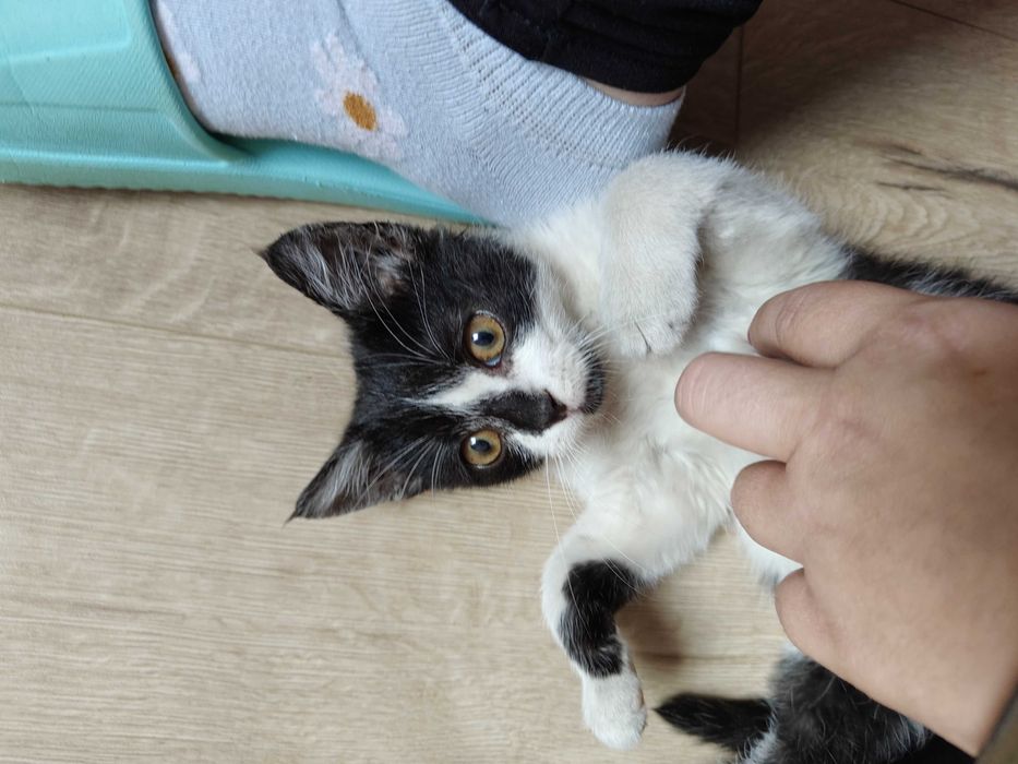 Czy Maja czeka na Ciebie?