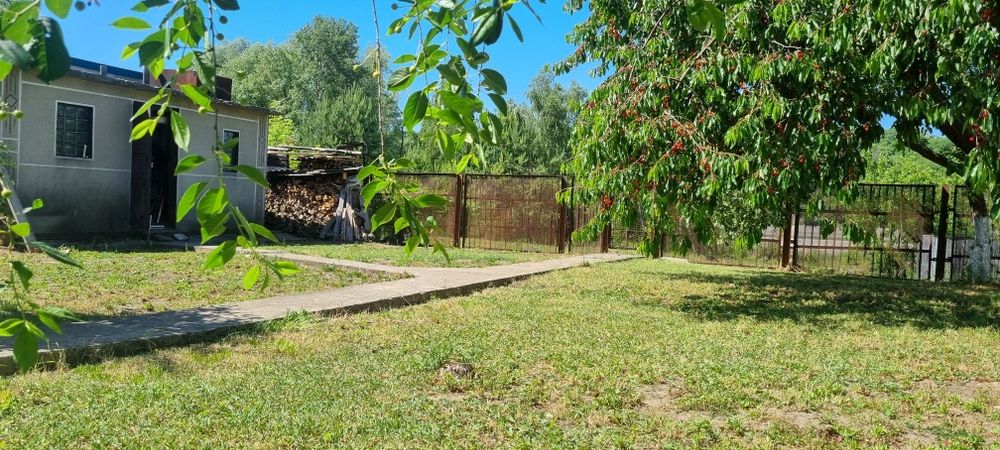 Продам дачу на Дністрі