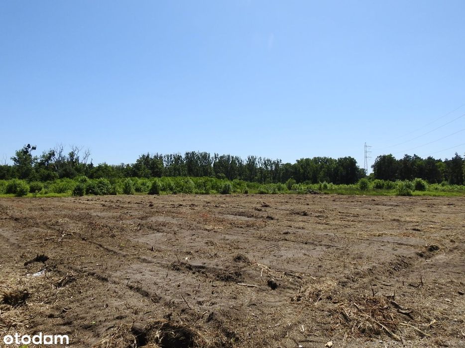 Duża działka przy lesie | 10 minut od jeziora