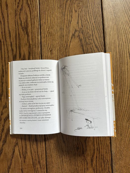 Doktor Proktor i proszek pierdzioszek, Jo Nesbø