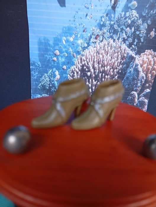 Sapatos de boneca Barbie