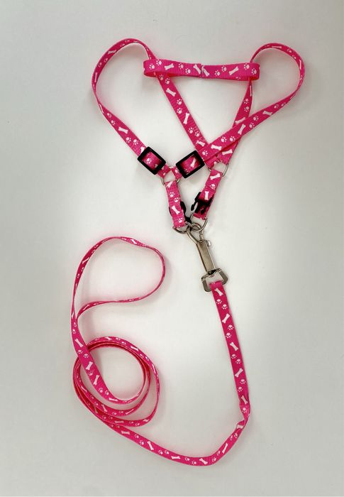 Шлейка для собаки/кота та повідець 1 м (мал. лапки)