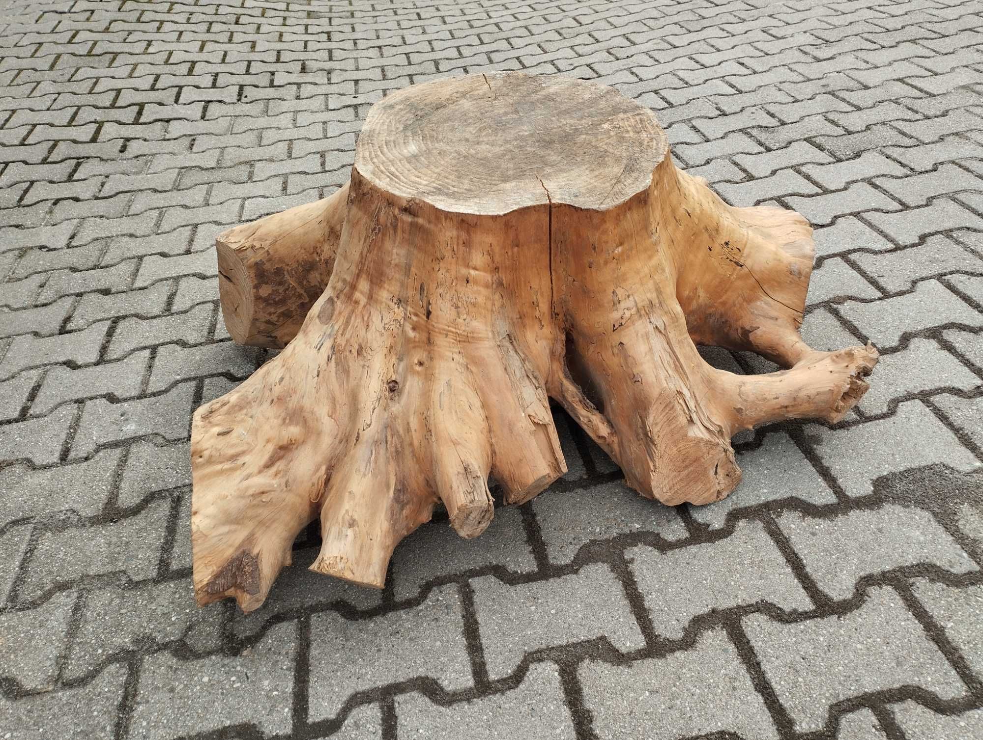 Korzeń drzewa Piękny Solidny Suchy Podstawa do stolika DIY