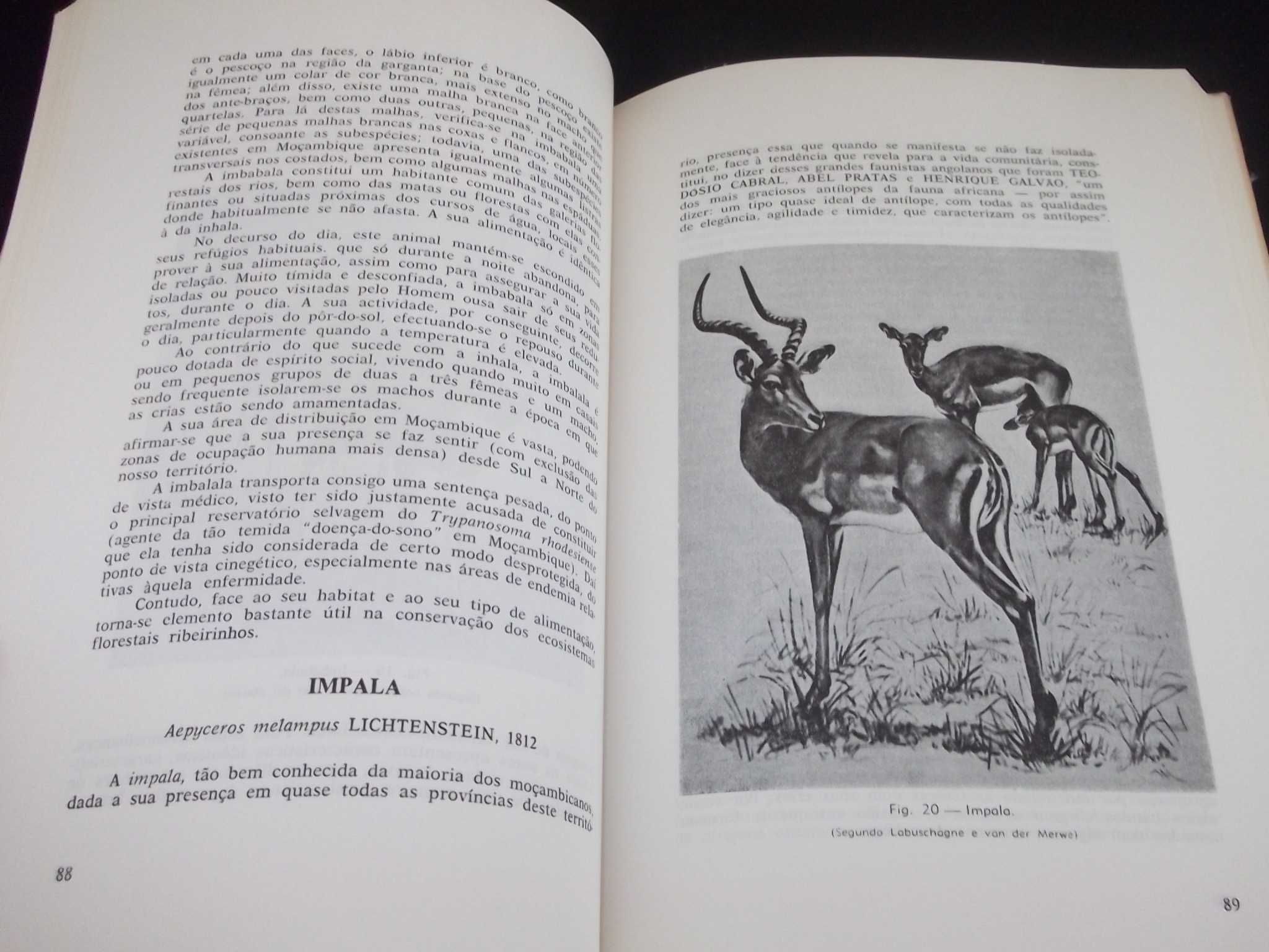 Livro Abecedário dos mamíferos selvagens de Moçambique 1975 1ª edição