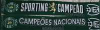 Cachecol Sporting Campeão 23/24