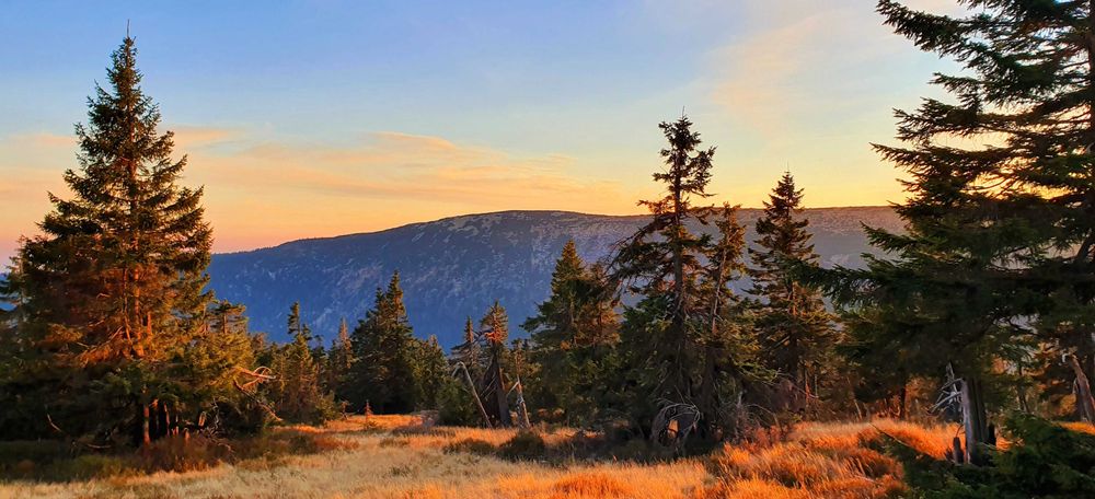 Karkonosze/Basen podgrzewany/Sauna/Jacuzzi - Dom 5 os. Piaskowy Koń
