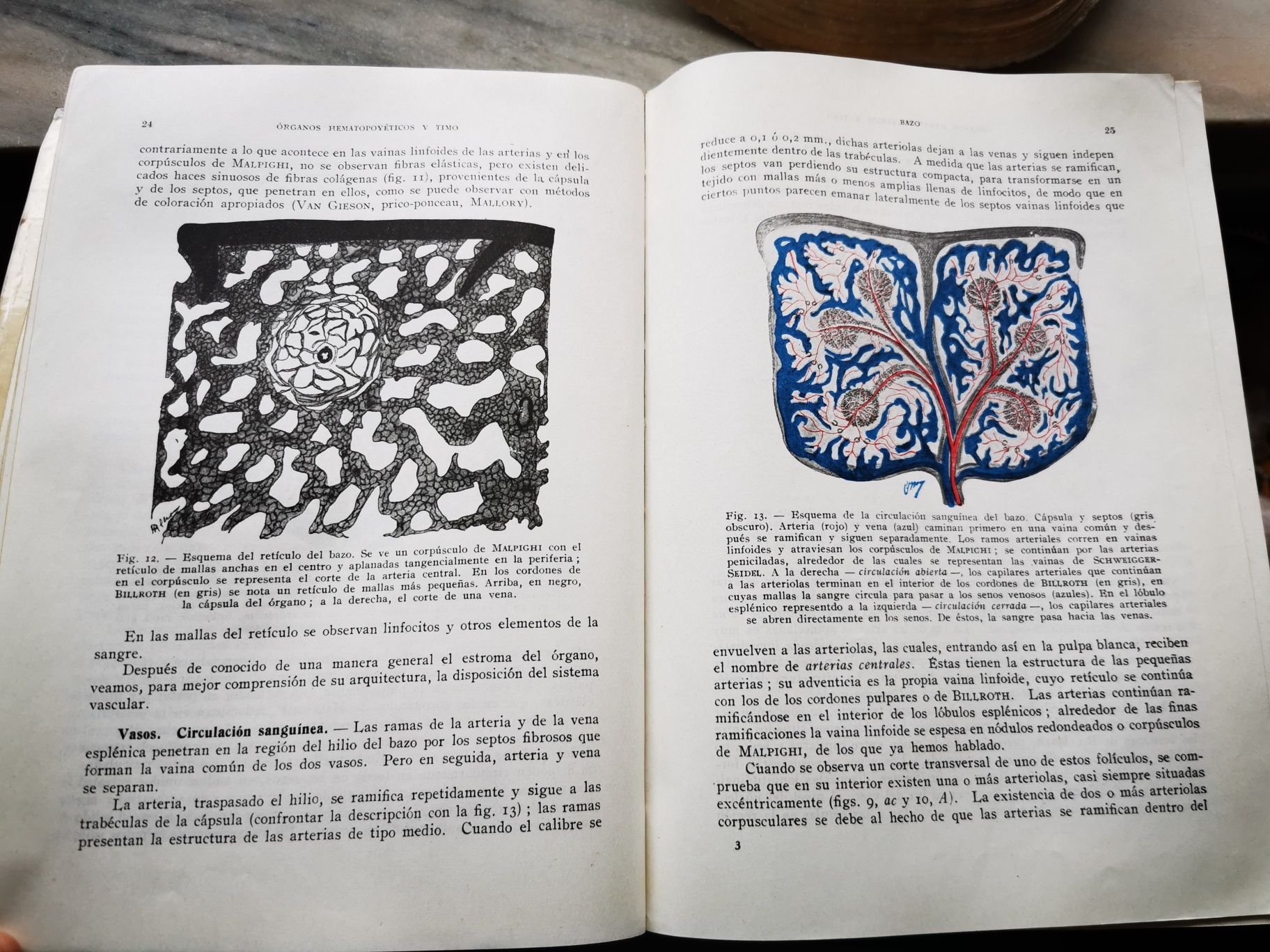 Livro antigo(71 anos) de Histologia e Anatomia Microscópica,