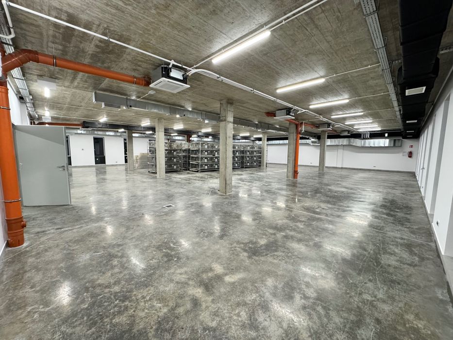 Wynajem Nowoczesnej Hali Magazynowo-Biurowej - Jasło/Gorlice/Nowy Żmig