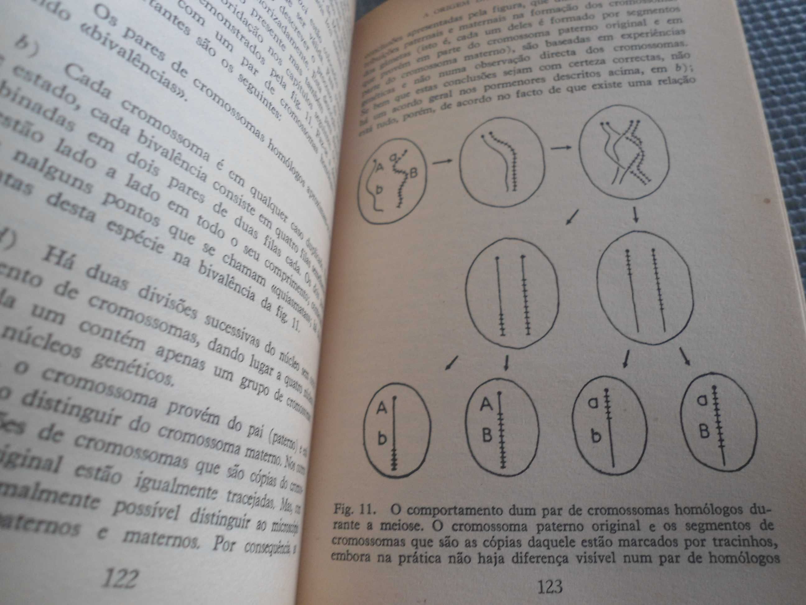 A Teoria da Evolução por John Waynard Smith