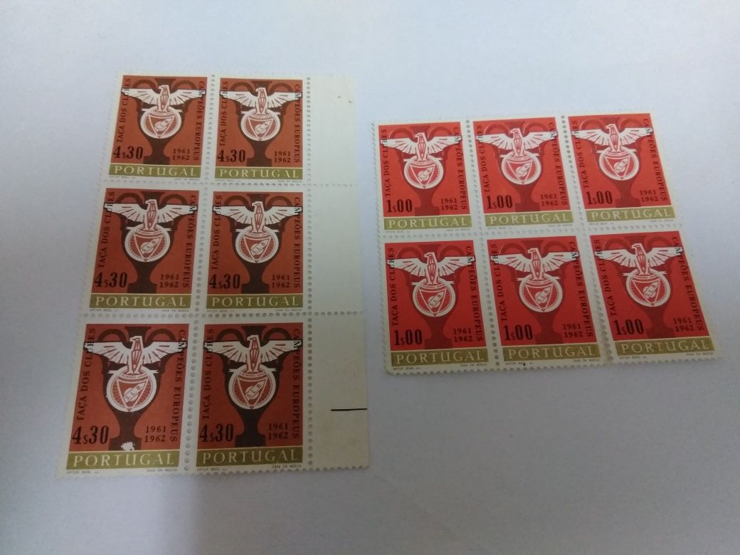 Selos Benfica 1961/1962