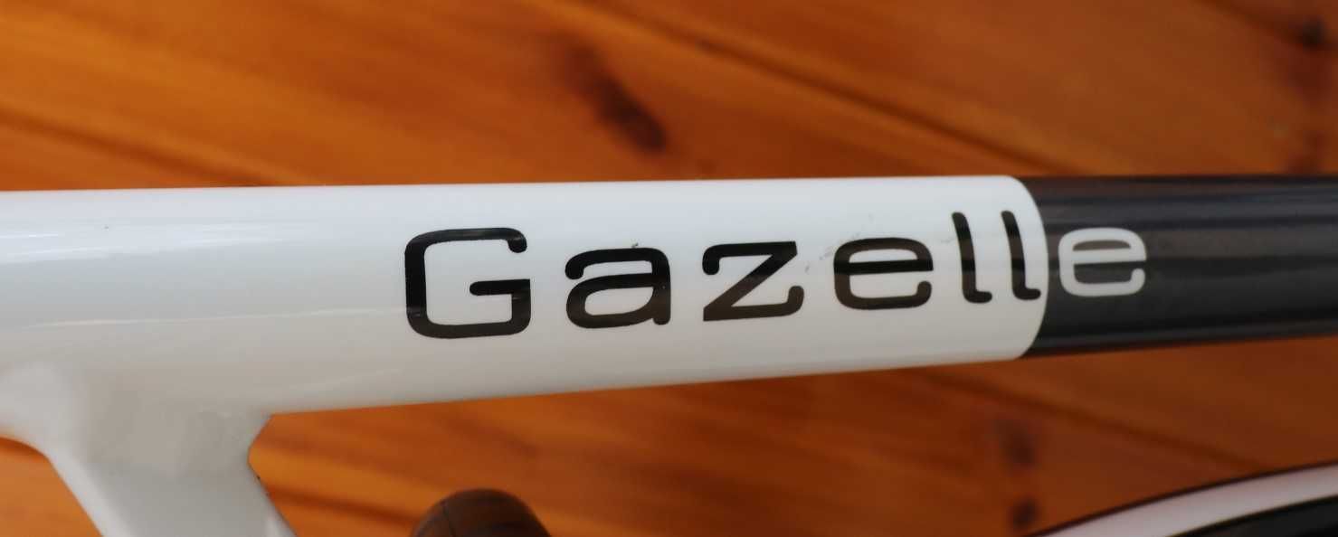 Rower damski Gazelle Eclipse.D 49. I inne rowery