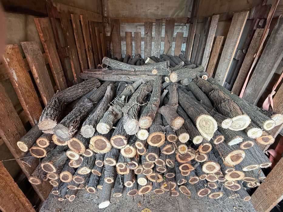 Дуб ясень акация и другие твёрдые породы