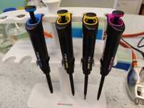 Zestaw pipet, pipety automatyczne