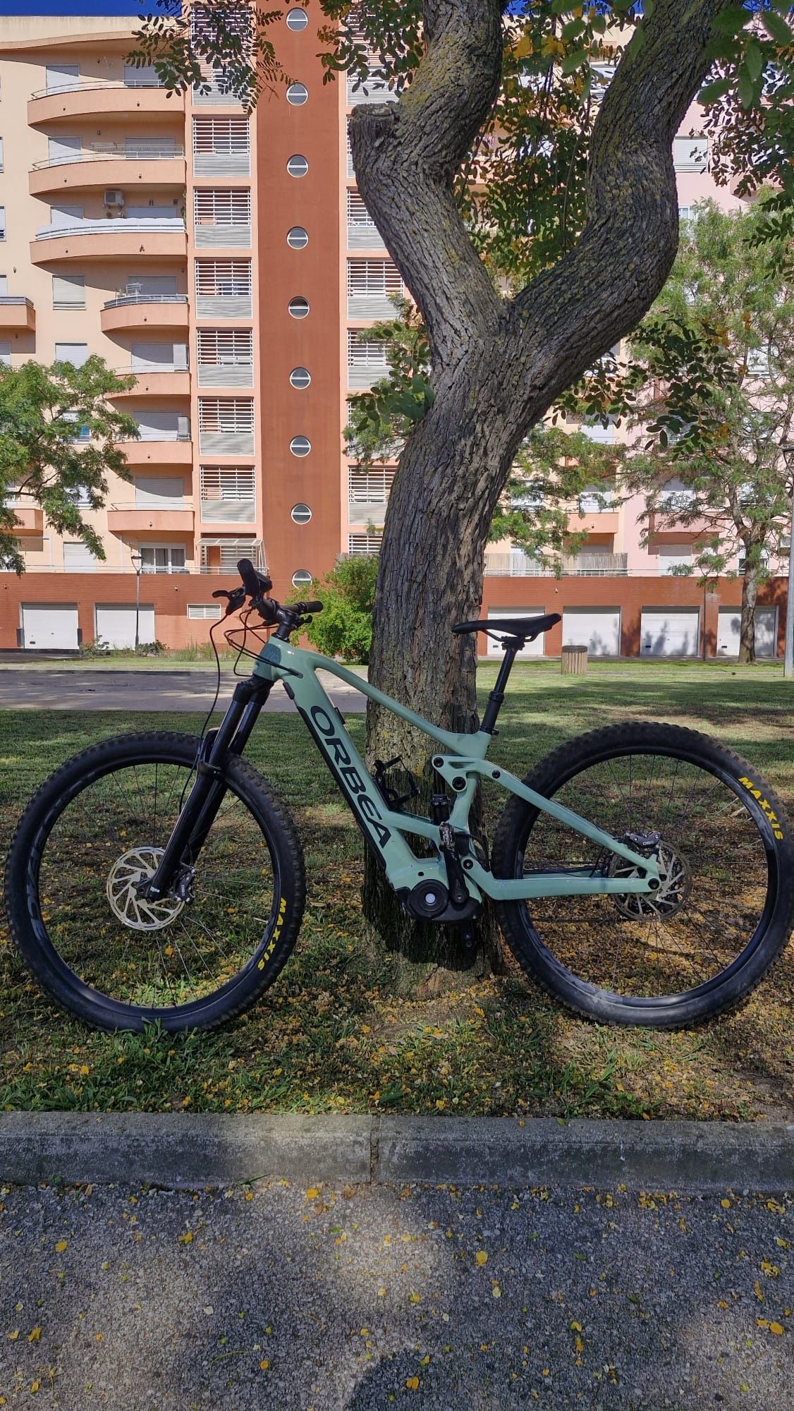 Orbea Wild Full Susp. (Elétrica) 160mm Gravel Boost Bosch