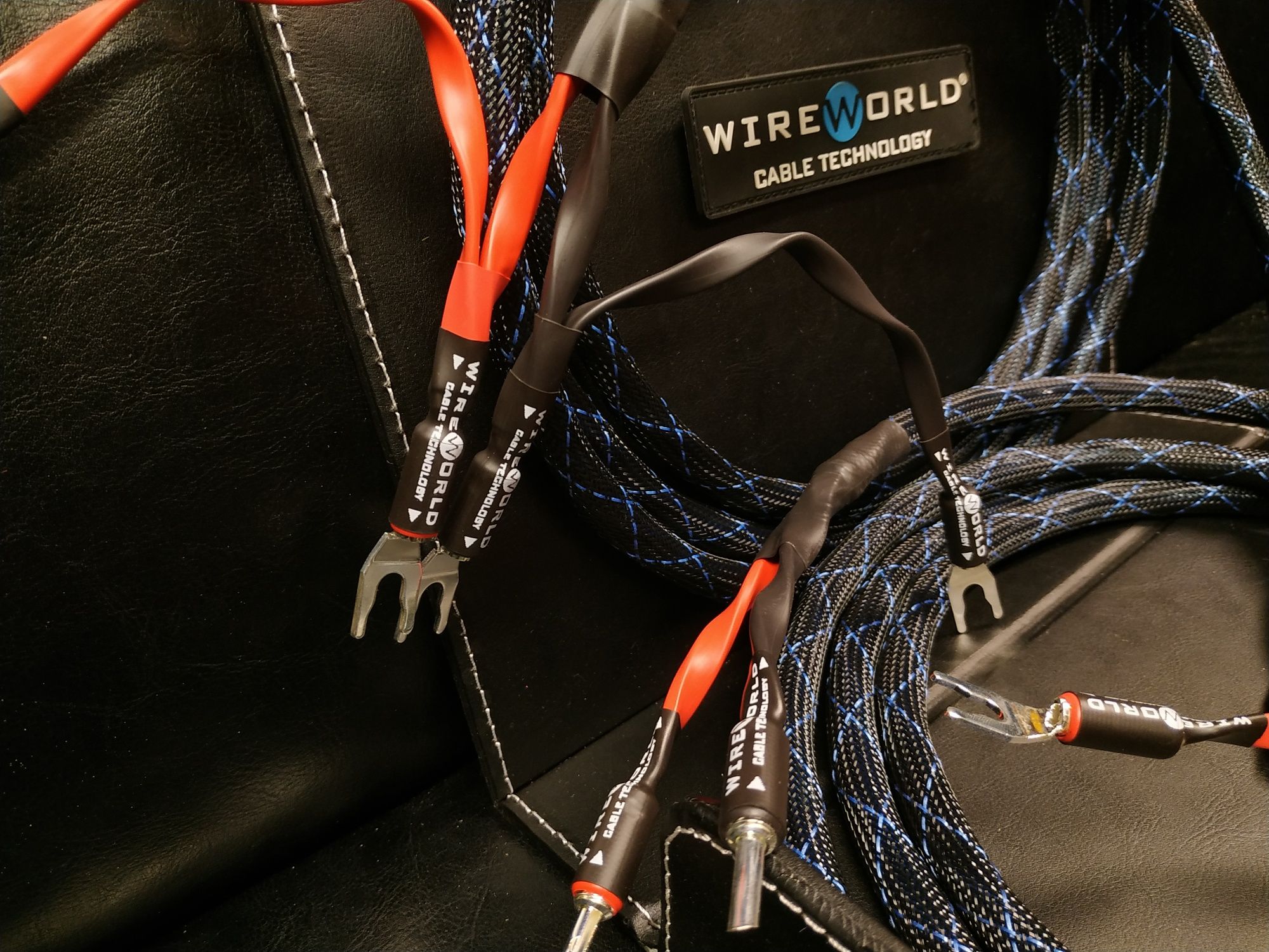 WireWorld Oasis10 Oasis 10 Trans Audio HiFi Sklep Wrocław konfekcja