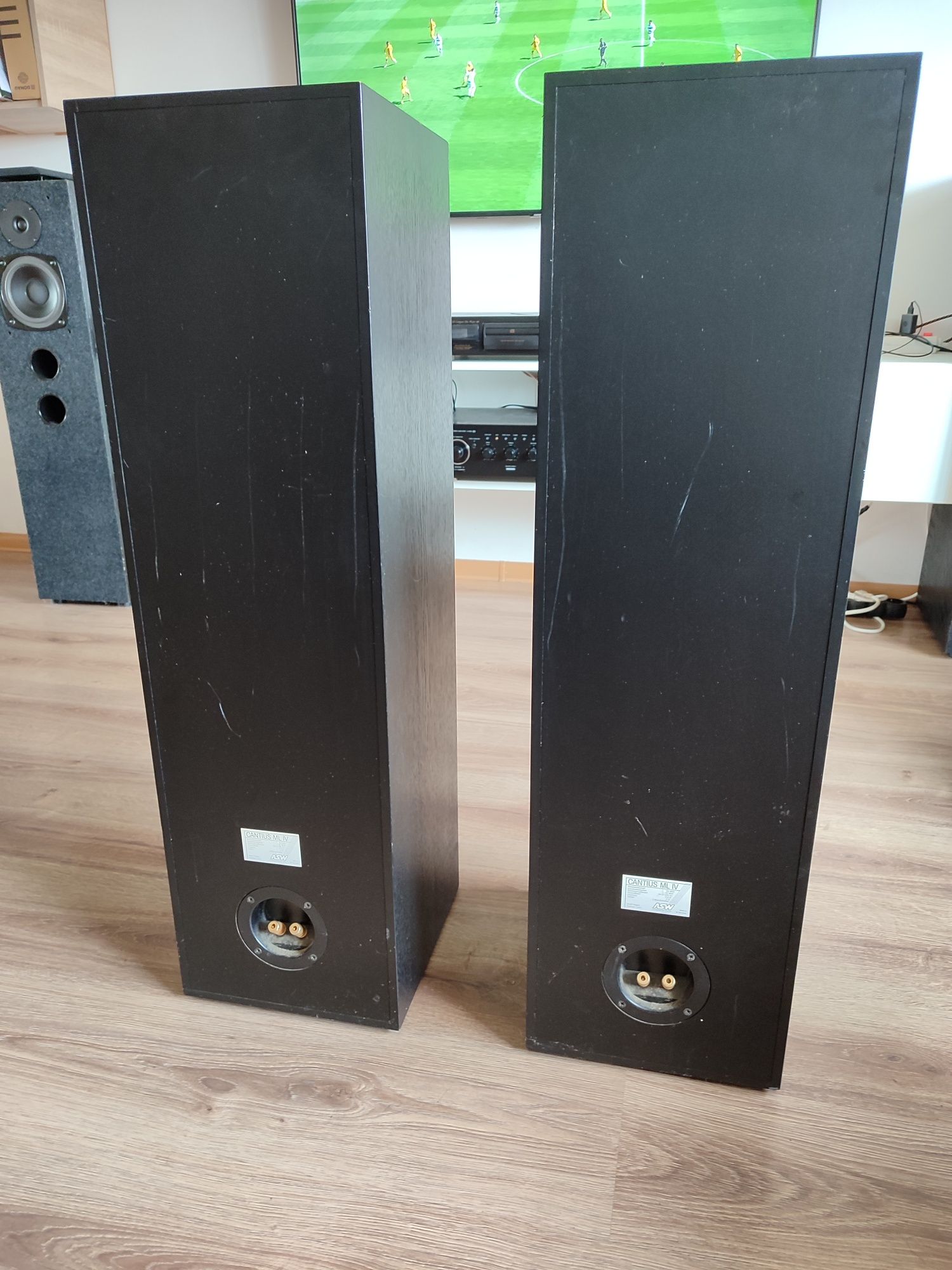 Kolumny podłogowe ASW Cantius ML 4 linia transmisyjna