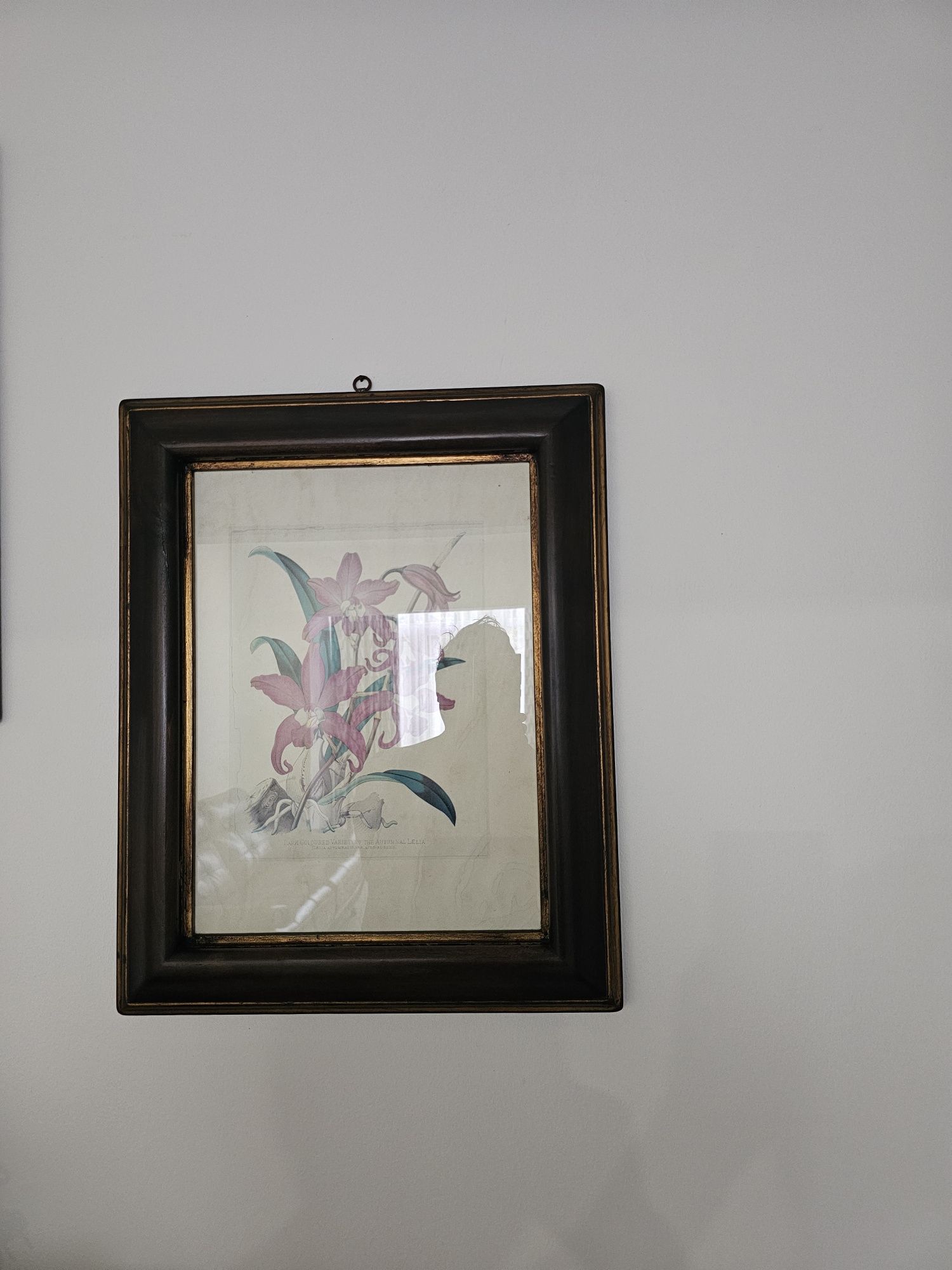 Quadro Parede Sala
