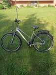 Rower damski teamrider