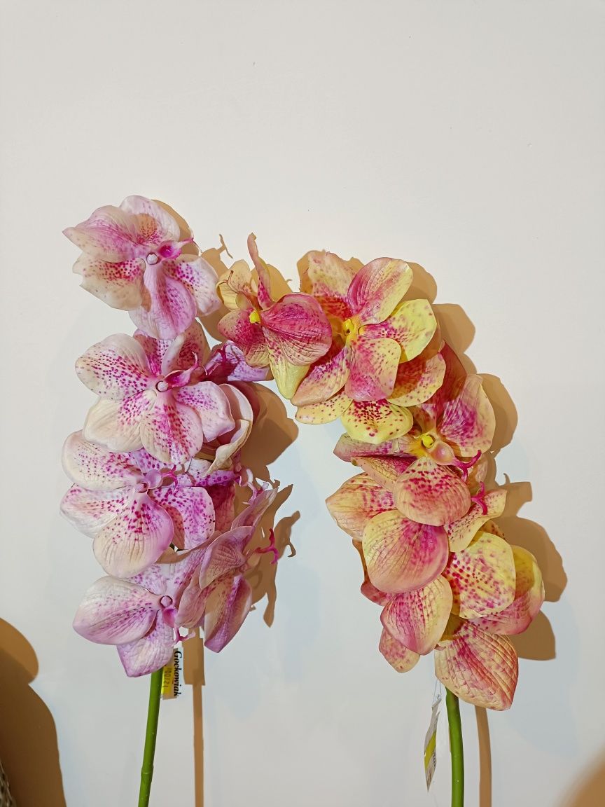 Orchidea Wanda gałązka sztuczna 74 cm