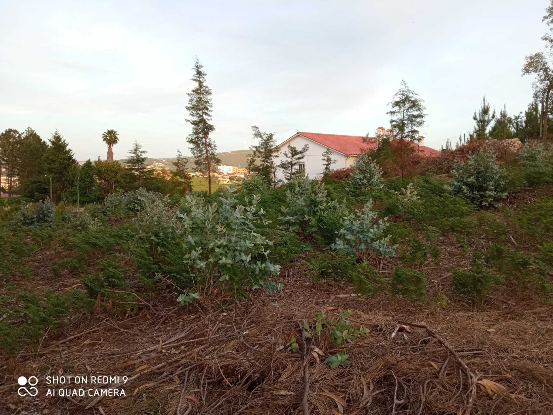 Vende-se Terreno para Construção