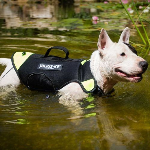 Julius-K9 Multifunctional dog best 3in1 kamizelka szelki dla psa M