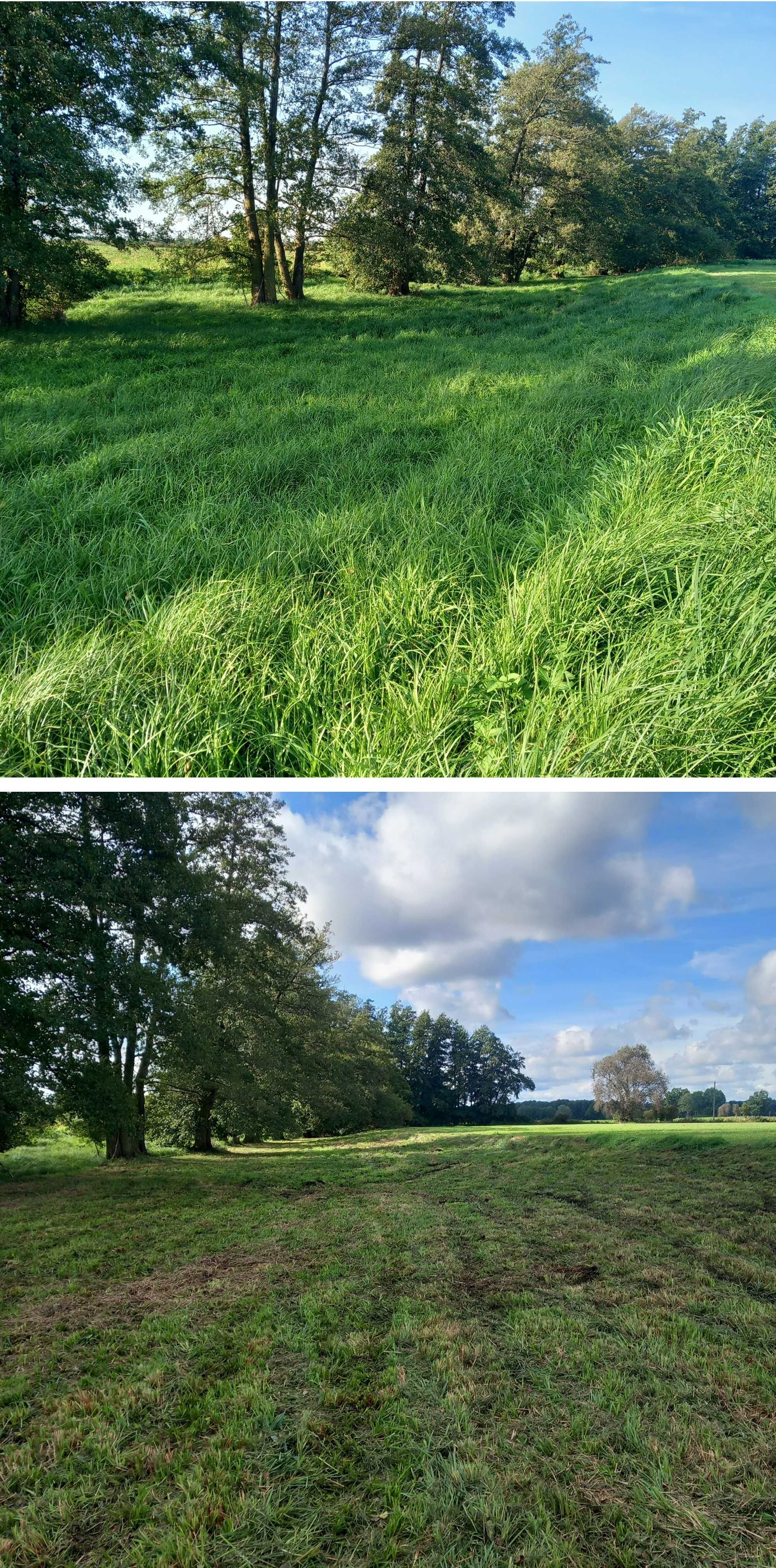 koszenie farm FV, karczowanie i oczyszczanie działek, wycinka drzew
