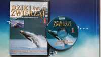 DVD film przyrodniczy edukacyjny oceanografia WIeloryby