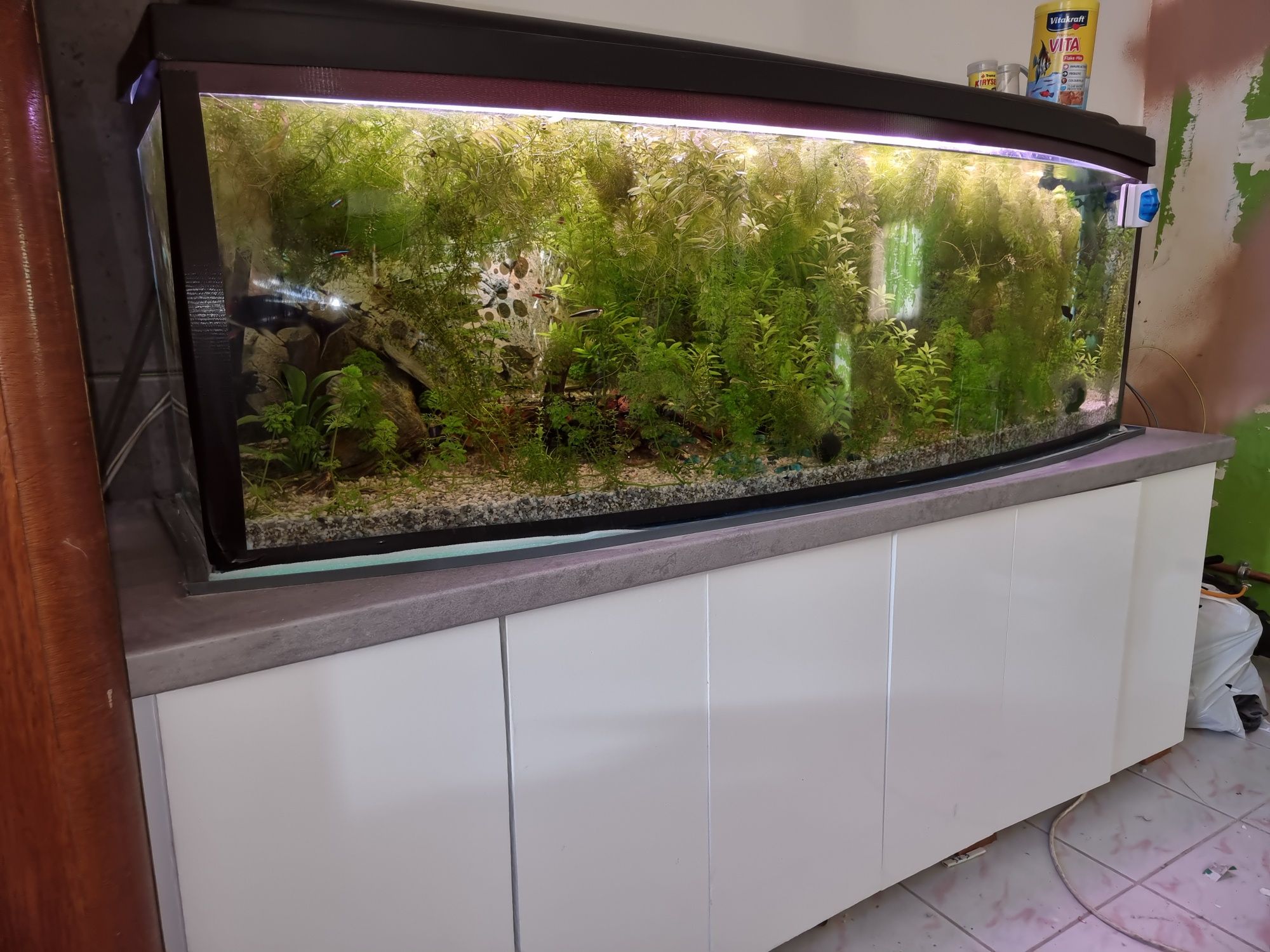 Akwarium 330L z rybami i pełnym wyposażeniem – gotowe do startu!