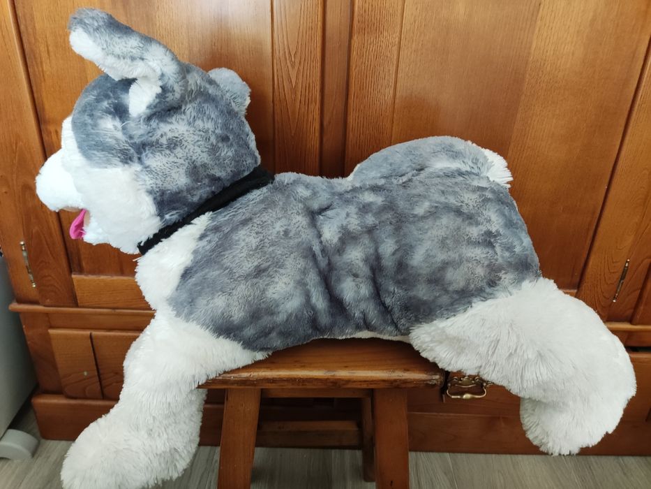 Peluche cão husky
