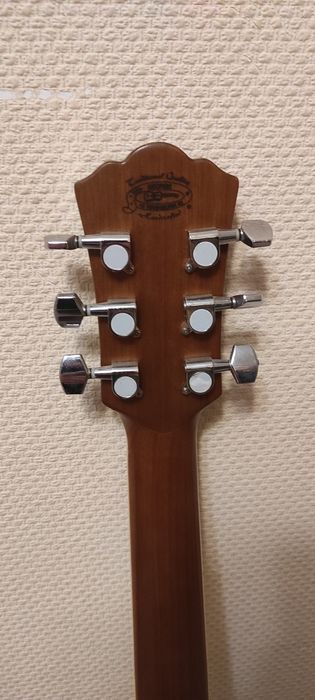 Гітара  Washburn. Model Wd10s