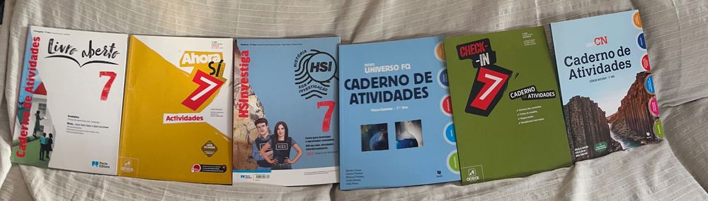 Cadernos de atividade novos 7.º ano