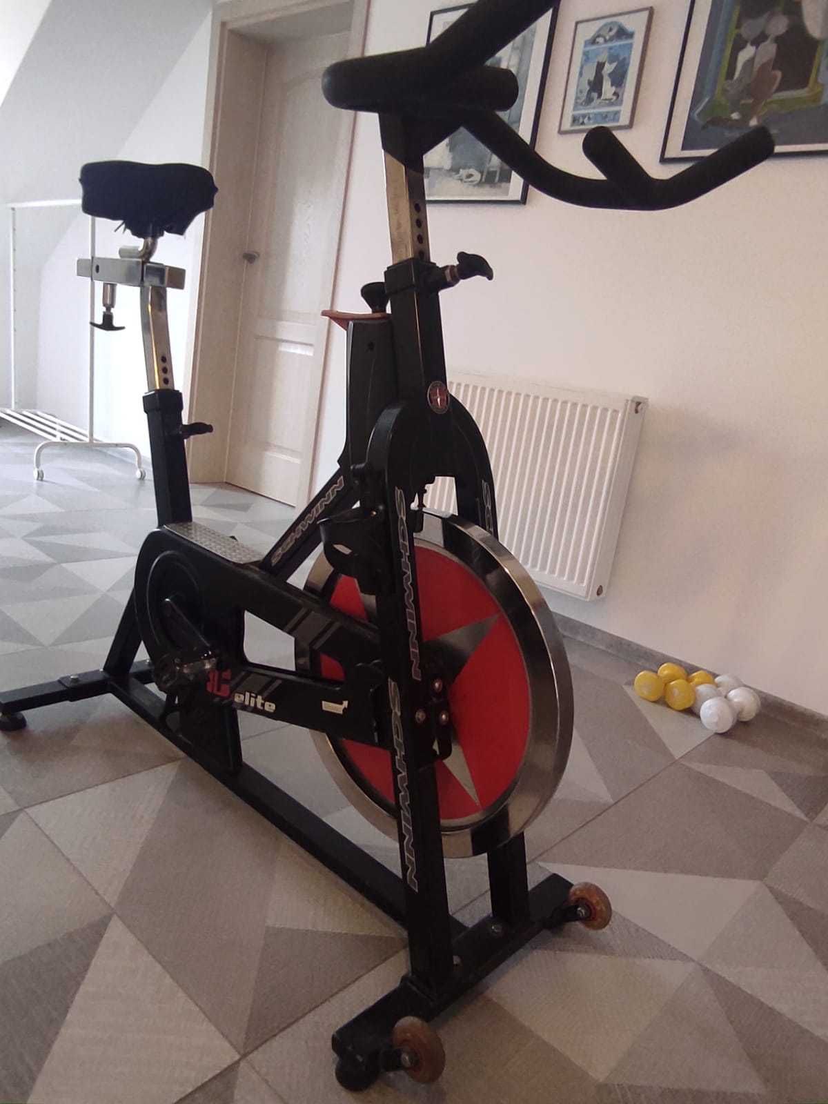 Rower Treningowy Spinningowy Schwinn Stacjonarny Wrocław