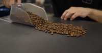 Спробуйте 80%20% Спець Суміш! авторський купаж кави в зернах! кофе