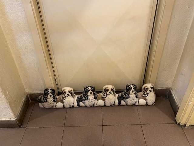 Corta / Quebra Vento de Porta