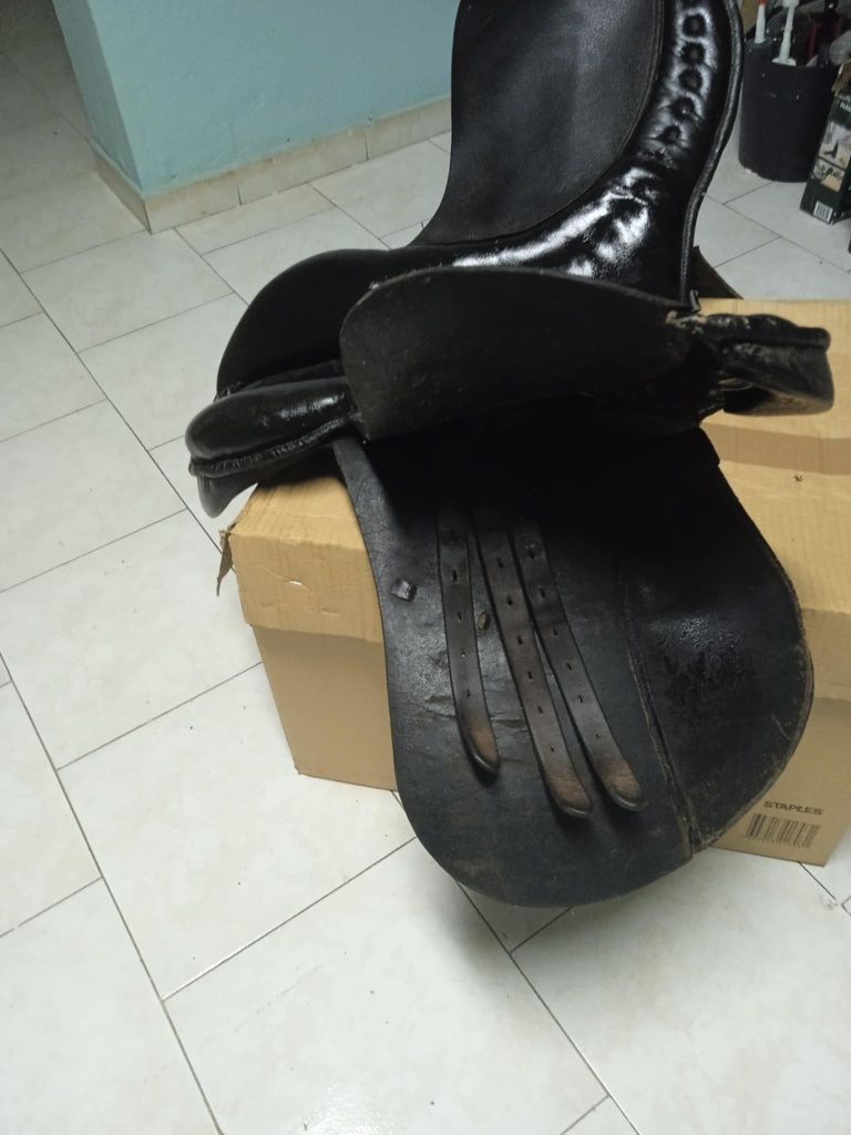 Vendo este material equestre