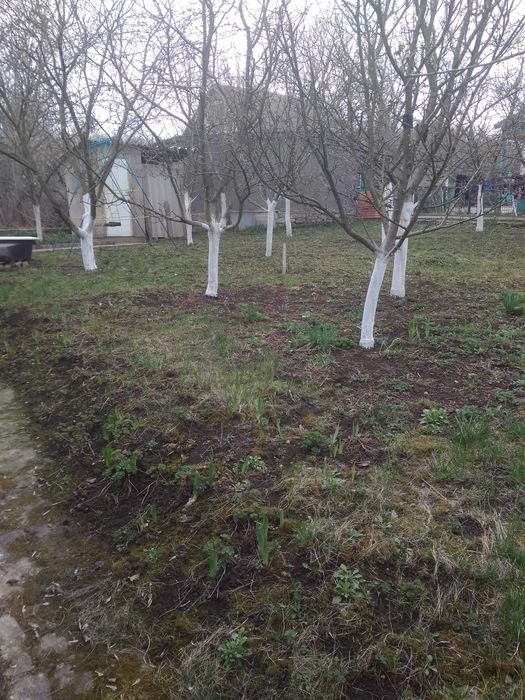 Два невеликих будинки  під дачу