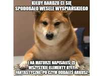Korepetycje Matura j. polski - wieloletni egzaminator, online