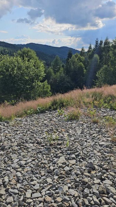 Sprzedam unikatową działkę w Kocierzu Rychwałdzkim otoczoną naturą.