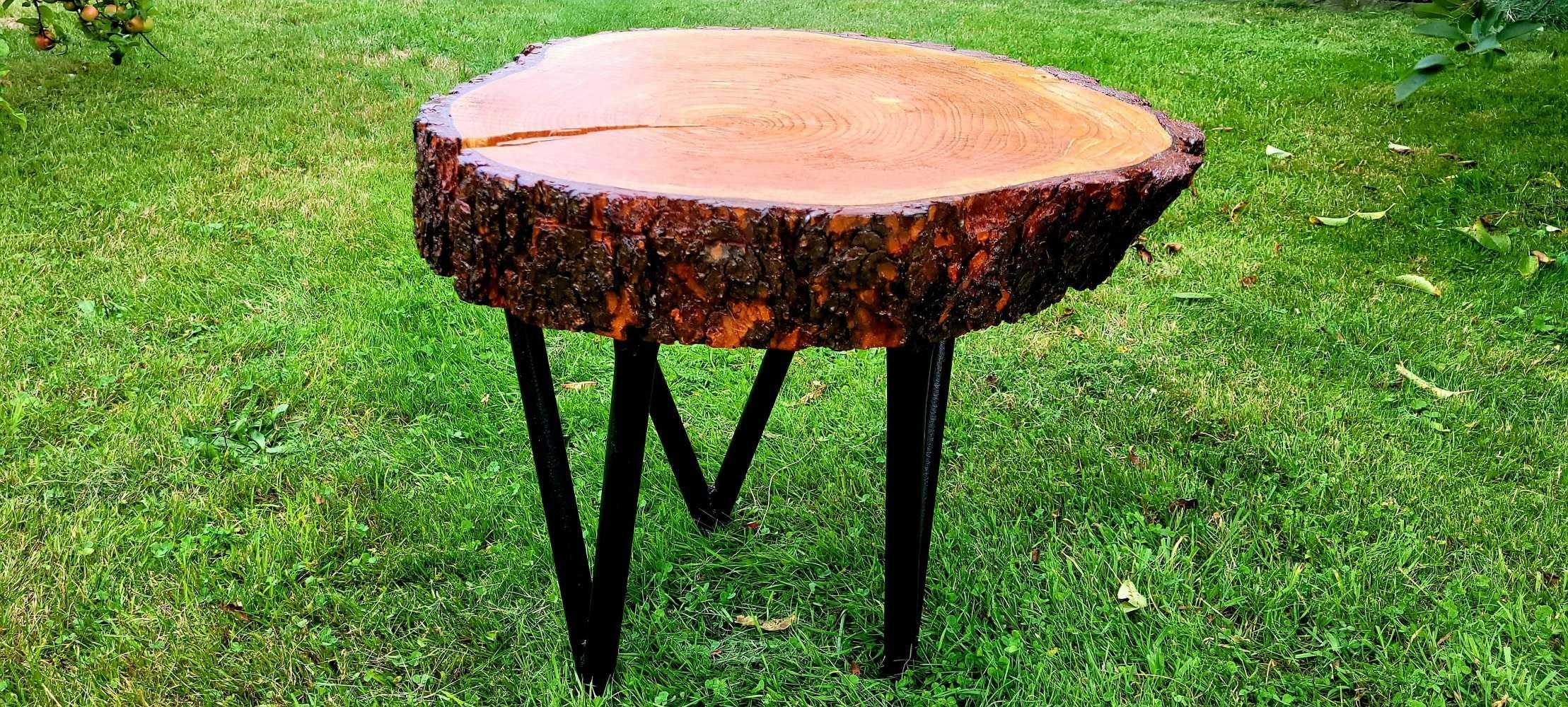 Stolik kawowy z pnia Modrzewiu, Blat, Ława, Plaster, live edge