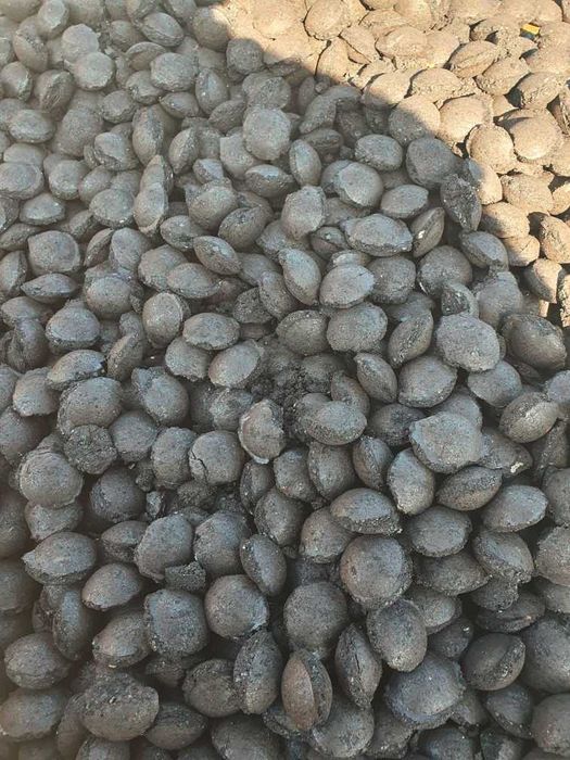 Groszek węgiel do kotłów z podajnikiem 24 MG/kG (brykiet)