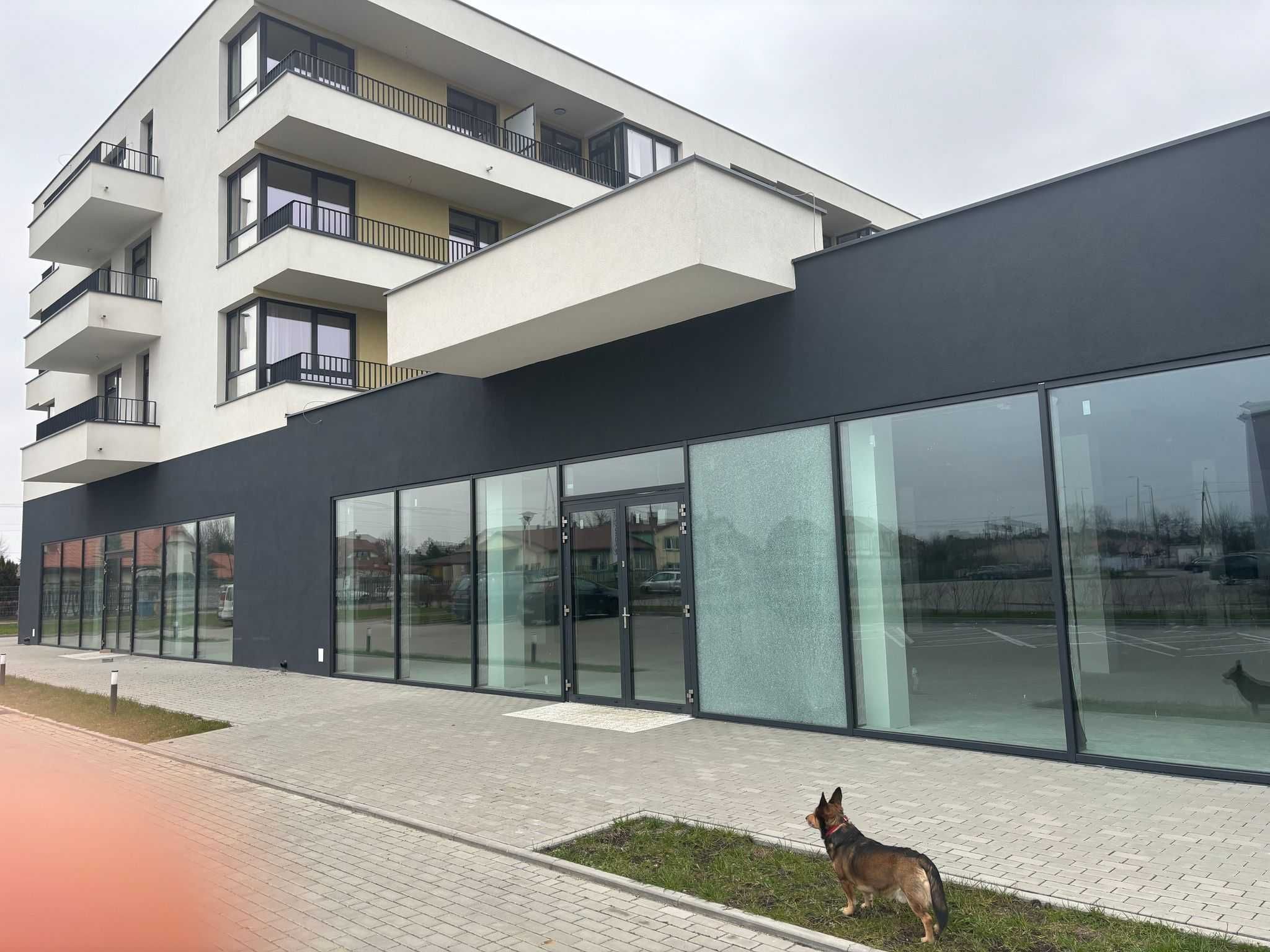 Lokal usługowo-handlowy 621,5m2 / Możliwość podziału/