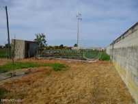 Terreno em Marinhais (M399)