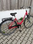 Rower damski 28 cali Pegasus