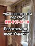 Видалення Плісняви Грибка Удаление Плесени Грибка под ключ Клининг