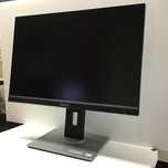 Asus ProArt 24 75hz