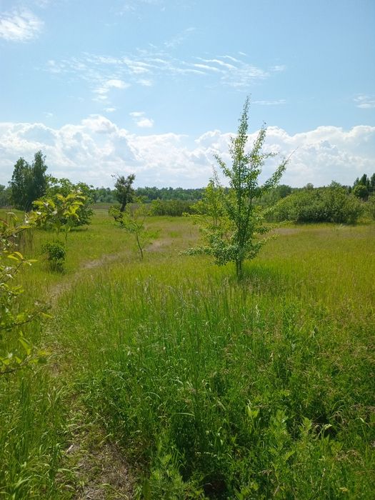 Продам участок за Фрунзенским с выходом на озеро Шпаковое.